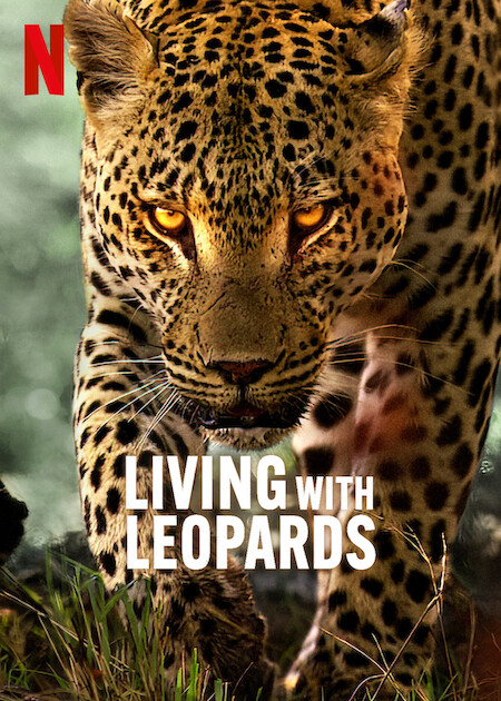 فيلم Living with Leopards 2024 مترجم