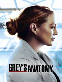 مسلسل Grey's Anatomy الموسم 17 الحلقة 10