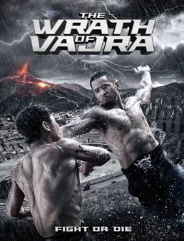 فيلم The Wrath Of Vajra 2013 مترجم