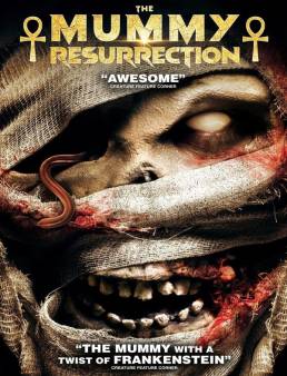 فيلم The Mummy Resurrection 2023 مترجم