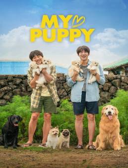 فيلم My Heart Puppy 2023 مترجم