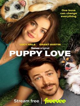 فيلم Puppy Love 2023 مترجم