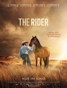 فيلم The Rider 2017 مترجم
