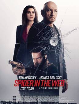فيلم Spider in the Web 2019 مترجم
