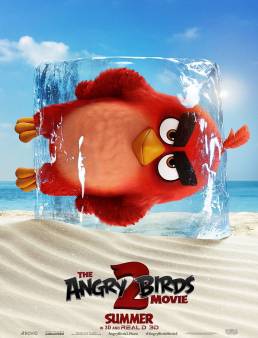 فيلم The Angry Birds Movie 2 2019 مدبلج