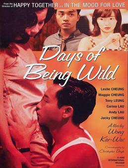 فيلم Days of Being Wild 1990 مترجم