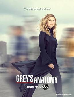 مسلسل Grey's Anatomy الموسم 16 الحلقة 21