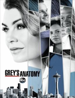 مسلسل Grey’s Anatomy الموسم 14 الحلقة 20