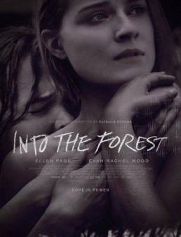 فيلم Into the Forest 2015 مترجم