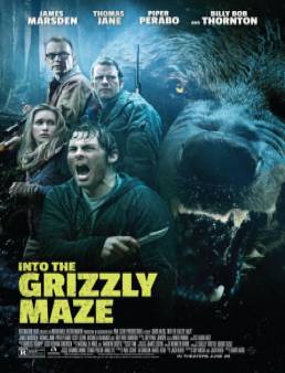 فيلم Into the Grizzly Maze مترجم