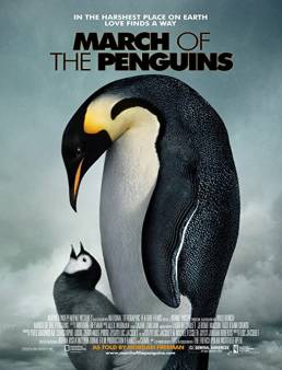 فيلم March of the Penguins 2005 مترجم