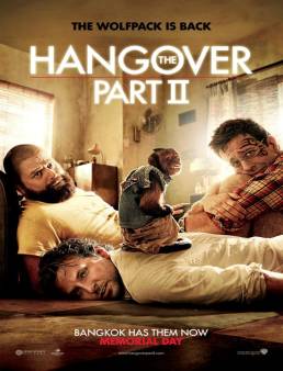 فيلم The Hangover Part II 2011 مترجم