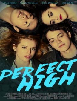 مشاهدة فيلم Perfect High 2015 مترجم