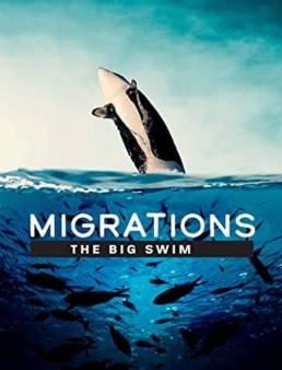 فيلم Migrations: The Big Swim 2020 مترجم