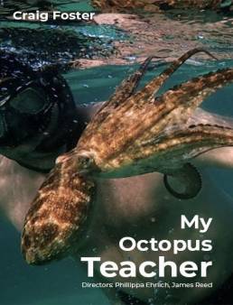 فيلم My Octopus Teacher 2020 مترجم