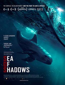 فيلم Sea of Shadows 2019 مترجم