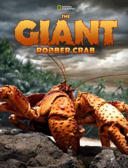 فيلم The Giant Robber Crab 2019 مترجم