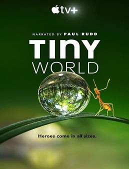 مسلسل Tiny World الحلقة 6