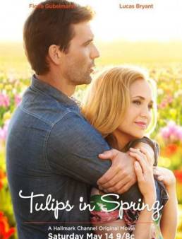 فيلم Tulips in Spring 2016 مترجم