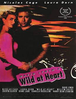 فيلم Wild at Heart 1990 مترجم