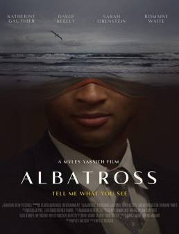فيلم Albatross 2022 مترجم