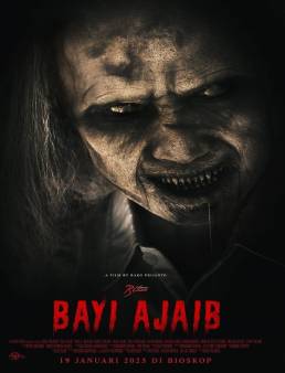 فيلم Bayi Ajaib 2023 مترجم
