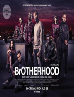 فيلم Brotherhood مترجم