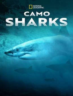 فيلم Camo Sharks 2022 مترجم