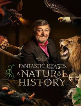 فيلم Fantastic Beasts: A Natural History 2022 مترجم