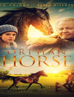 فيلم Orphan Horse 2018 مترجم