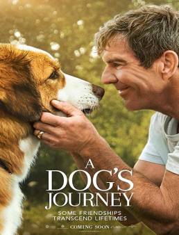 فيلم A Dogs Journey 2019 مترجم