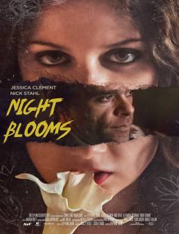 فيلم Night Blooms 2022 مترجم