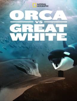 فيلم Orca Vs Great White 2021 مترجم