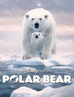 فيلم Polar Bear 2022 مترجم