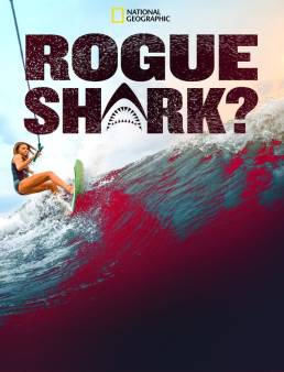 فيلم Rogue Shark? 2021 مترجم