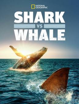 فيلم Shark vs. Whale 2020 مترجم