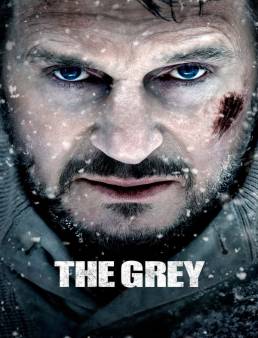 فيلم The Grey 2011 مترجم