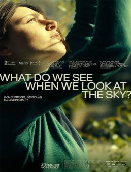 فيلم What Do We See When We Look at the Sky? 2021 مترجم