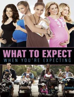 فيلم What to Expect When You're Expecting 2012 مترجم