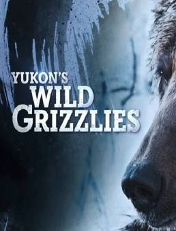 فيلم Yukon's Wild Grizzlies 2021 مترجم