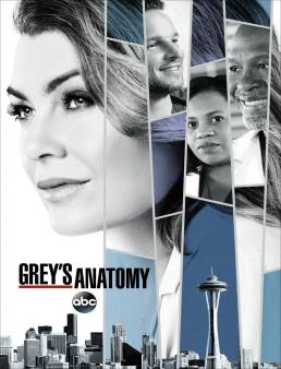 مسلسل Grey's Anatomy الموسم 14