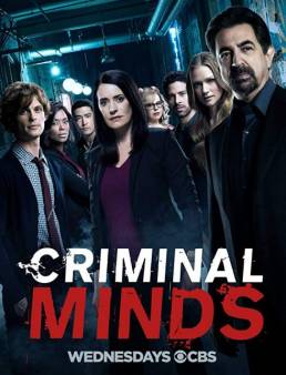 مسلسل Criminal Minds الموسم 14