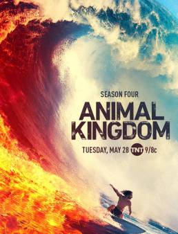 مسلسل Animal Kingdom الموسم 4