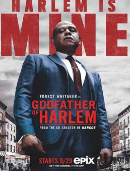 مسلسل Godfather of Harlem الموسم 1