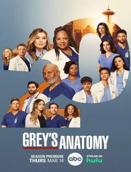 مسلسل Grey's Anatomy الموسم 20